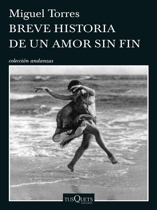 Cover image for Breve historia de un amor sin fin